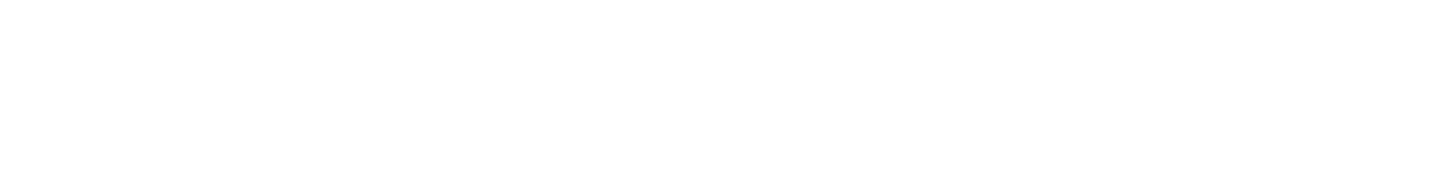 Copernica Partners
